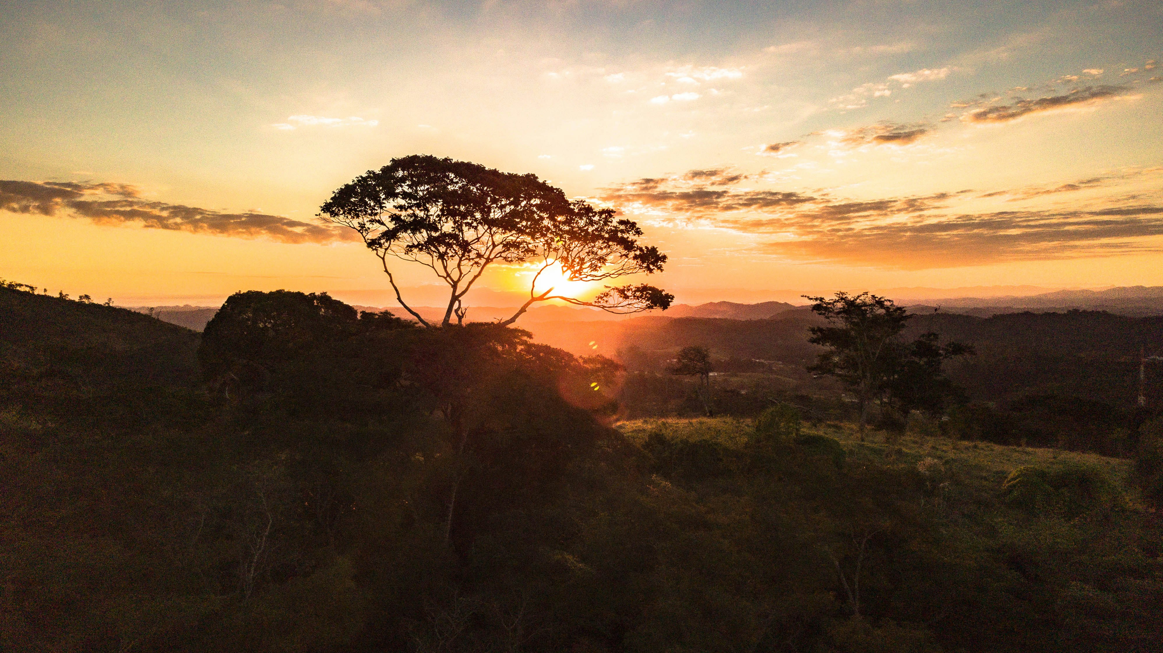 Photo by mottaprod_oficial