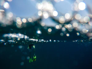 A focused swimmer cutting through dark water illuminated by neon blue light.