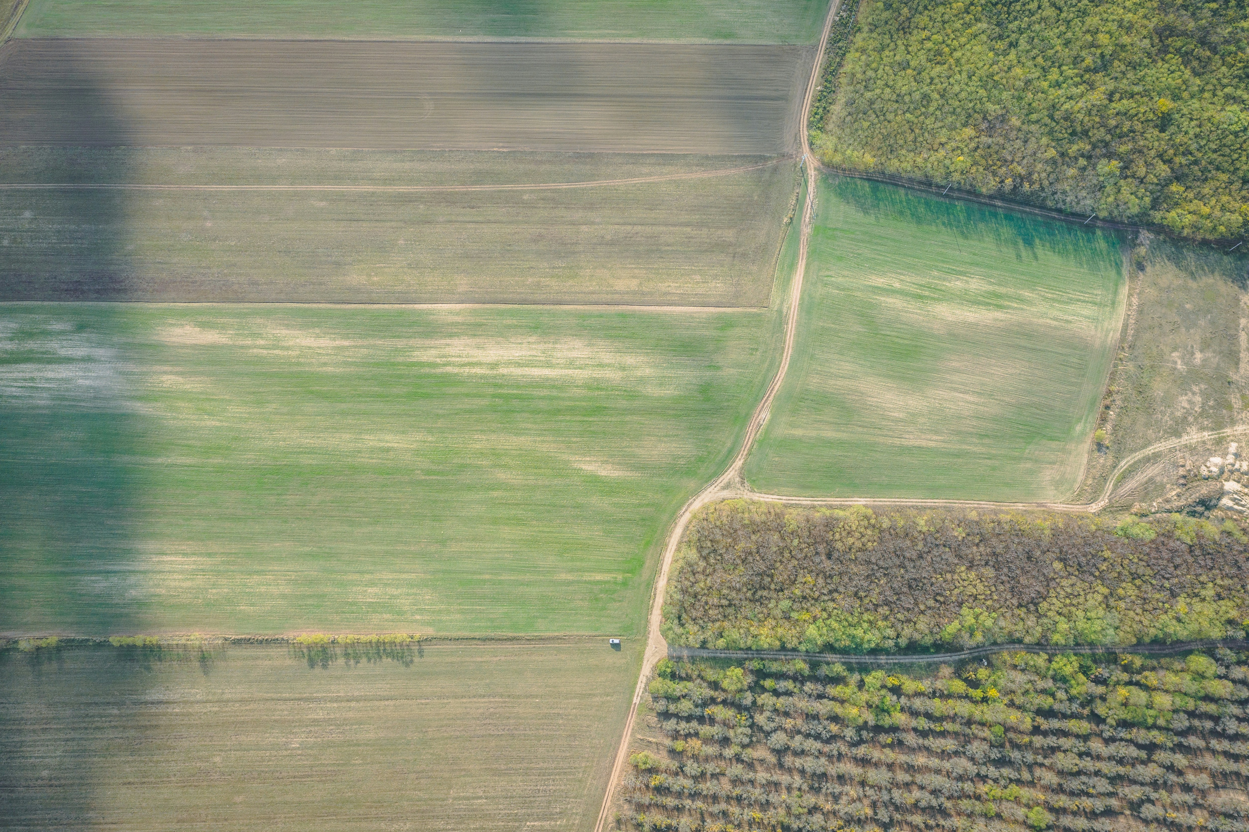 Photo by ballaschottner