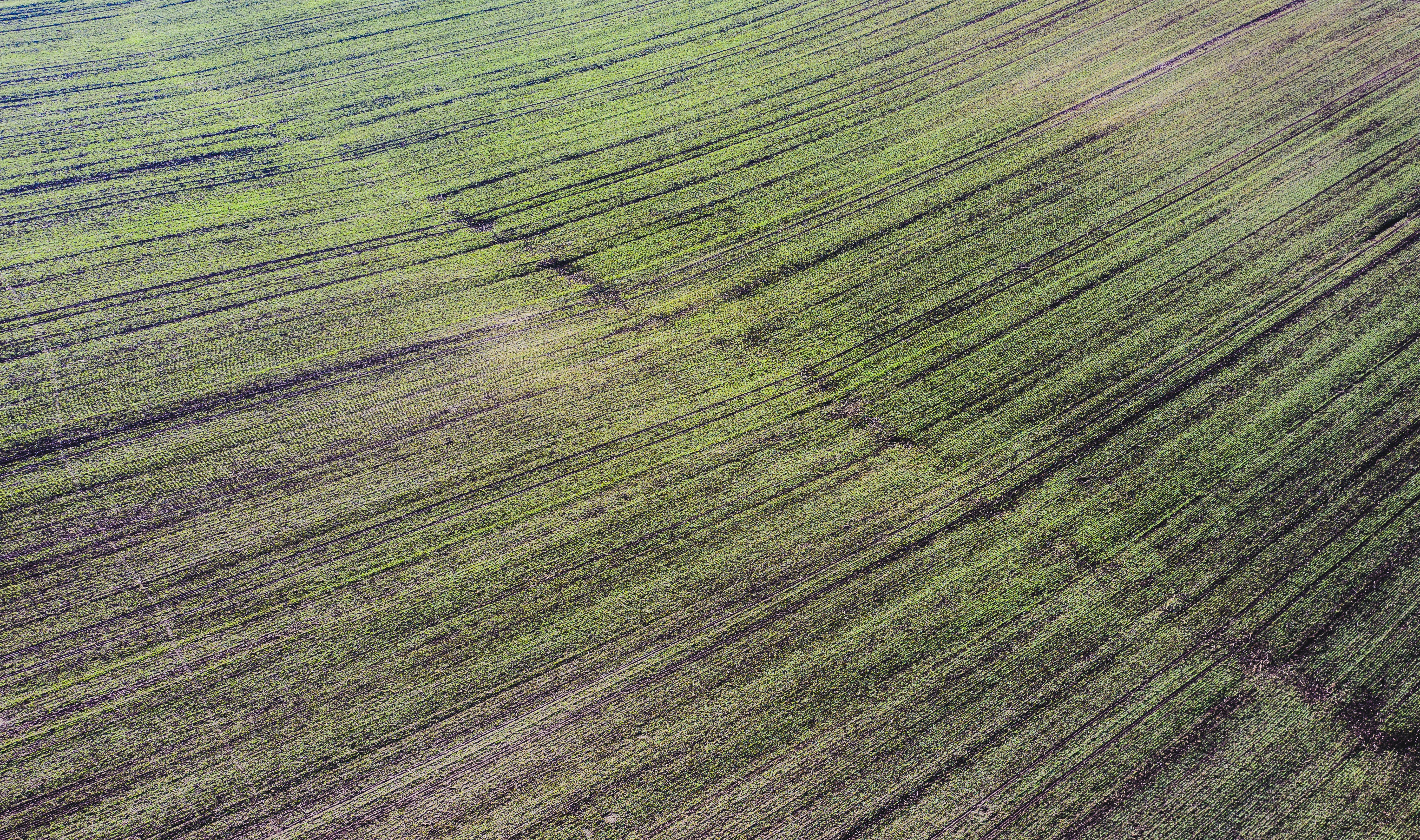 Photo by ballaschottner