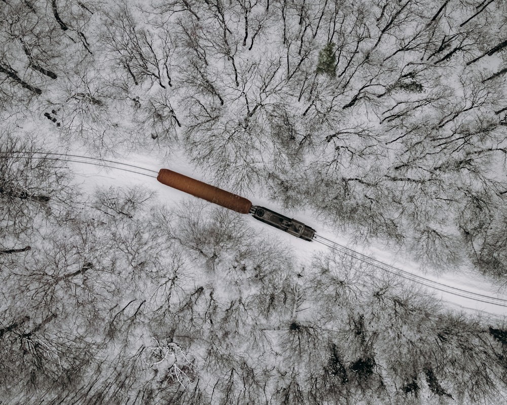 brown handle knife on snow covered ground