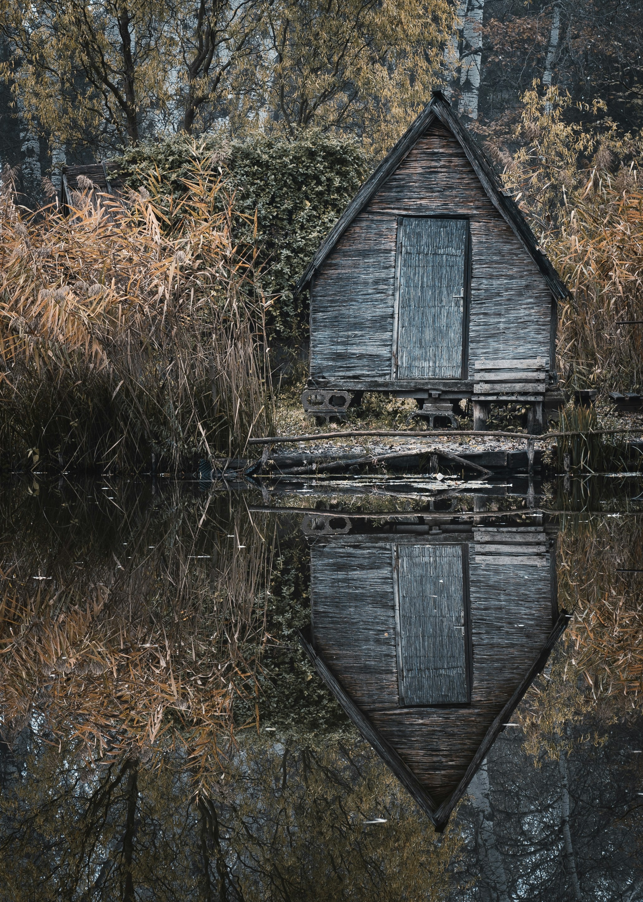 Photo by ballaschottner