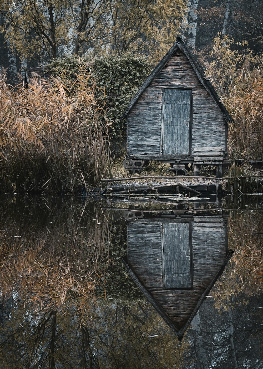 a wooden shack sitting in the middle of a forest