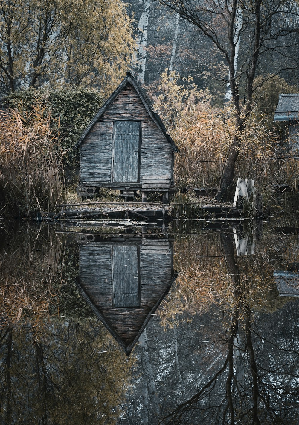 a small cabin sitting in the middle of a forest next to a body of water
