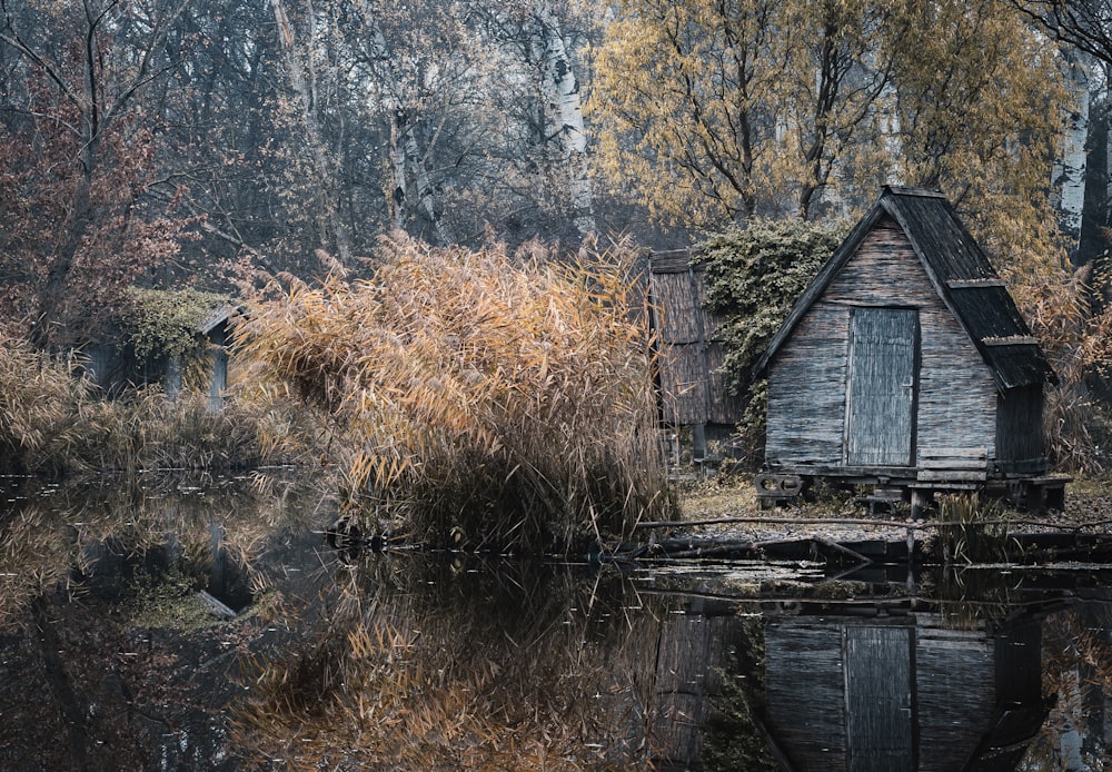 an old shack sits in the middle of a swamp