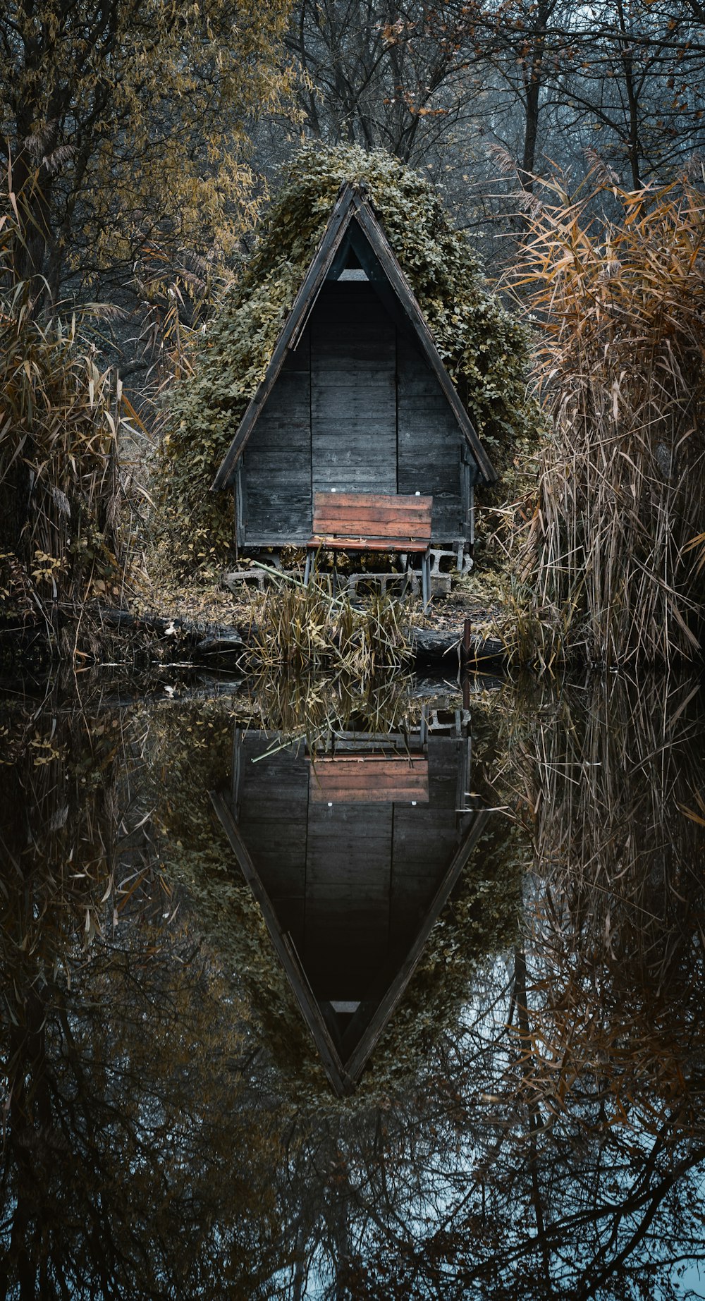 a small boat in a body of water surrounded by trees