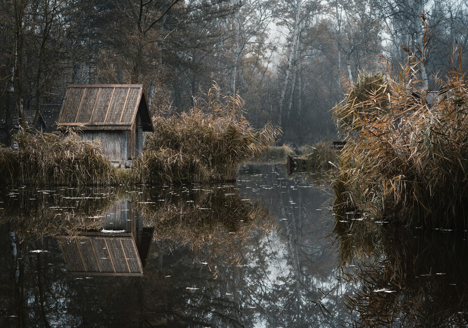 Sony a7 III + Samyang AF 85mm F1.4 FE sample photo