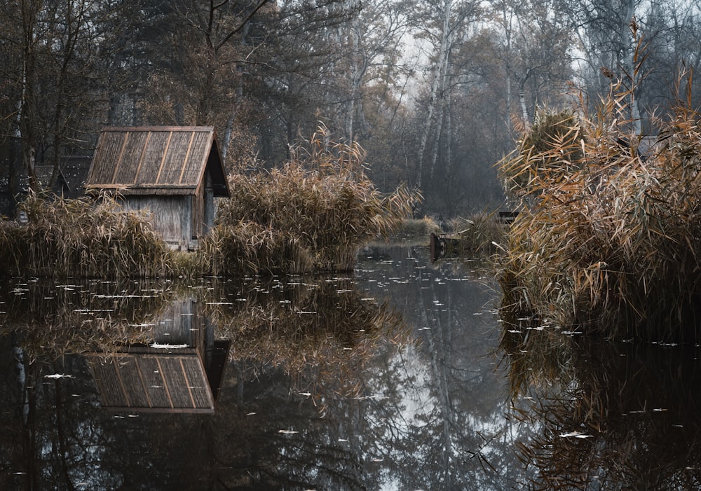 a body of water surrounded by trees and bushes