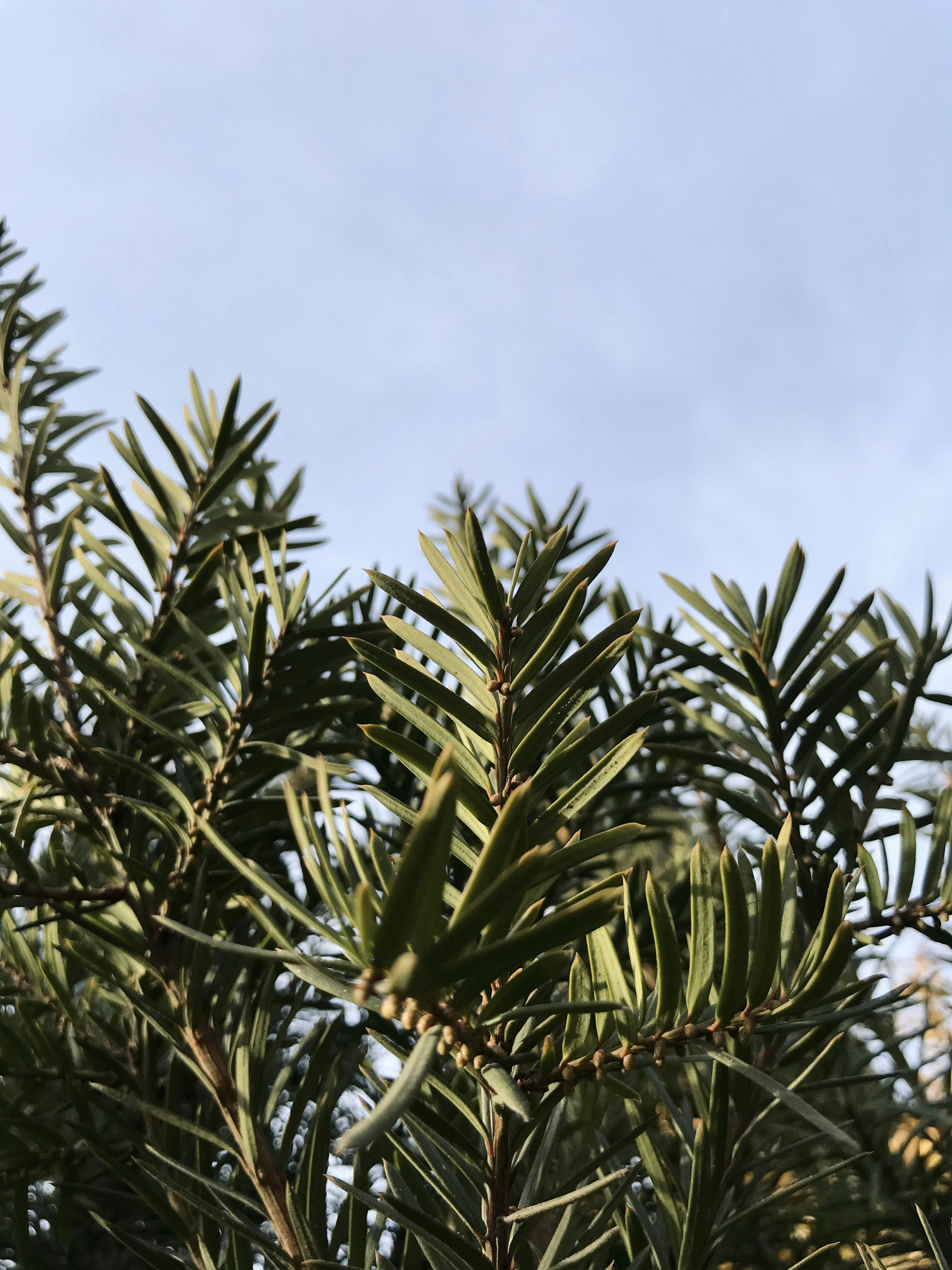 Photo by sam380967903116