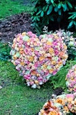 A heart-shaped arrangement of flowers.