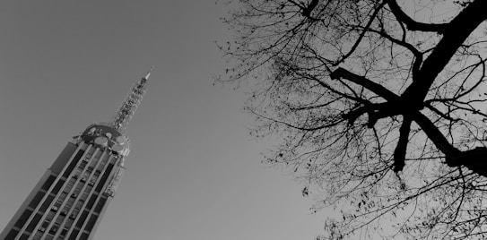 A tall communication tower with an intricate structure rises against a clear sky, while bare tree branches intersect from the right, creating a contrast between technology and nature.