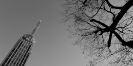 A tall communication tower with an intricate structure rises against a clear sky, while bare tree branches intersect from the right, creating a contrast between technology and nature.