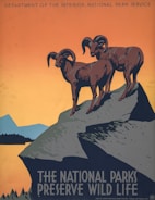 Illustration of two bighorn sheep standing on a rocky cliff overlooking a vast landscape.