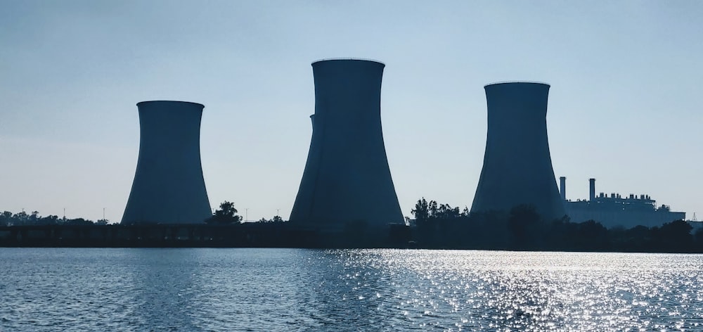 silhouette d’arbres près d’un plan d’eau pendant la journée