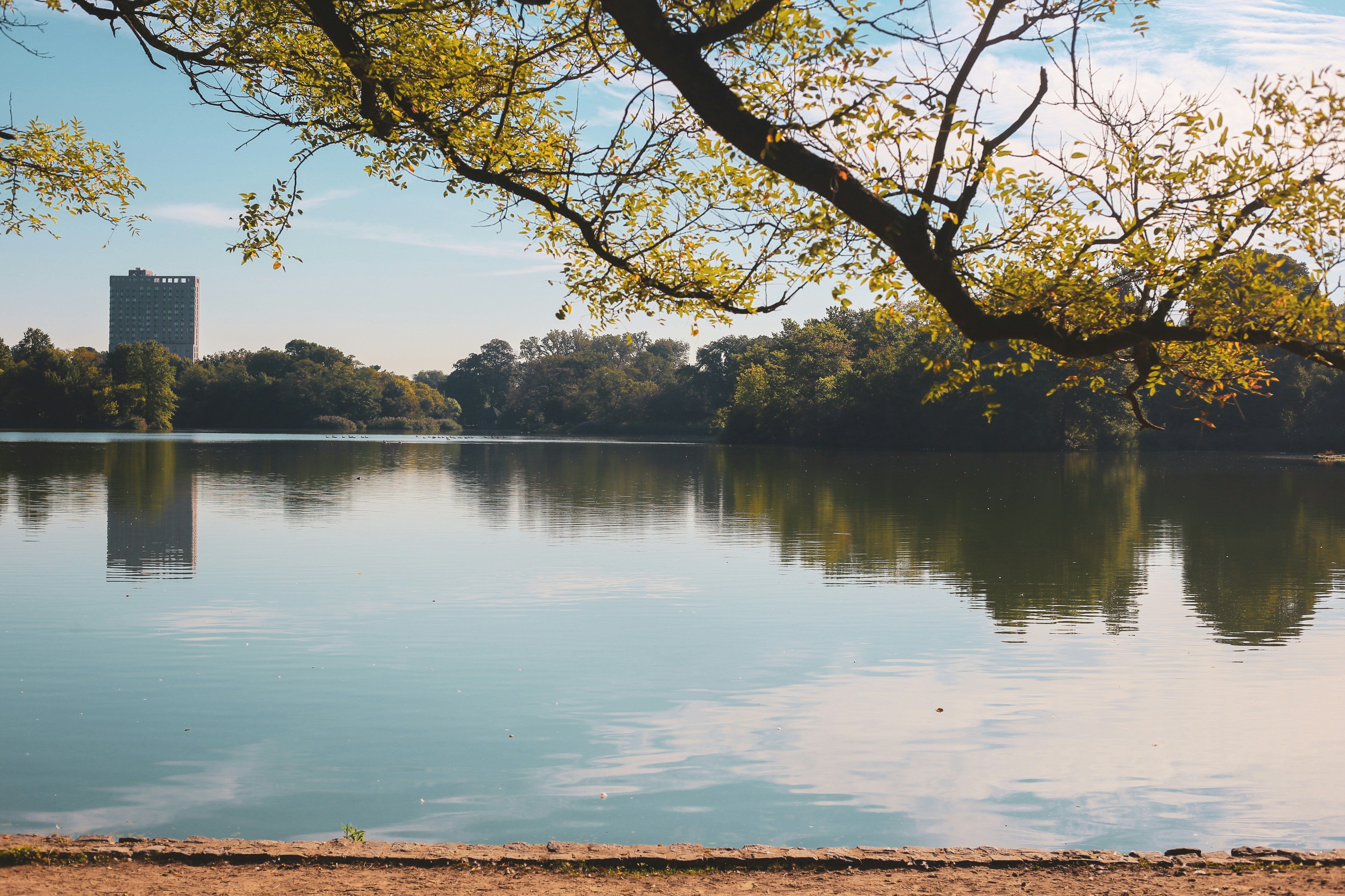 Photo by dyanawingso