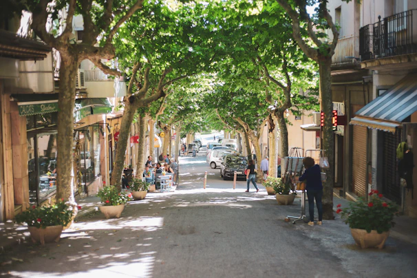 Street scene in Zamalek with cafes and locals enjoying the shaded boulevards.