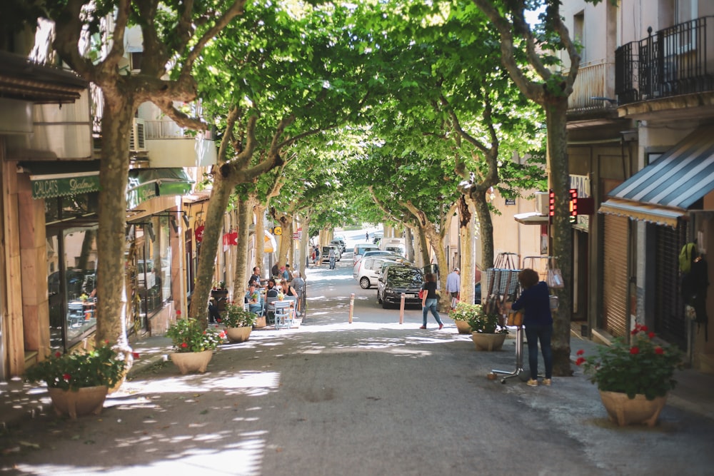 a group of people walking down a tree lined street