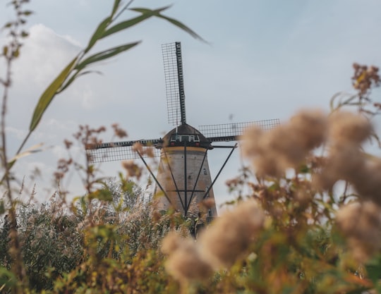 None in Kinderdijk Windmills Netherlands
