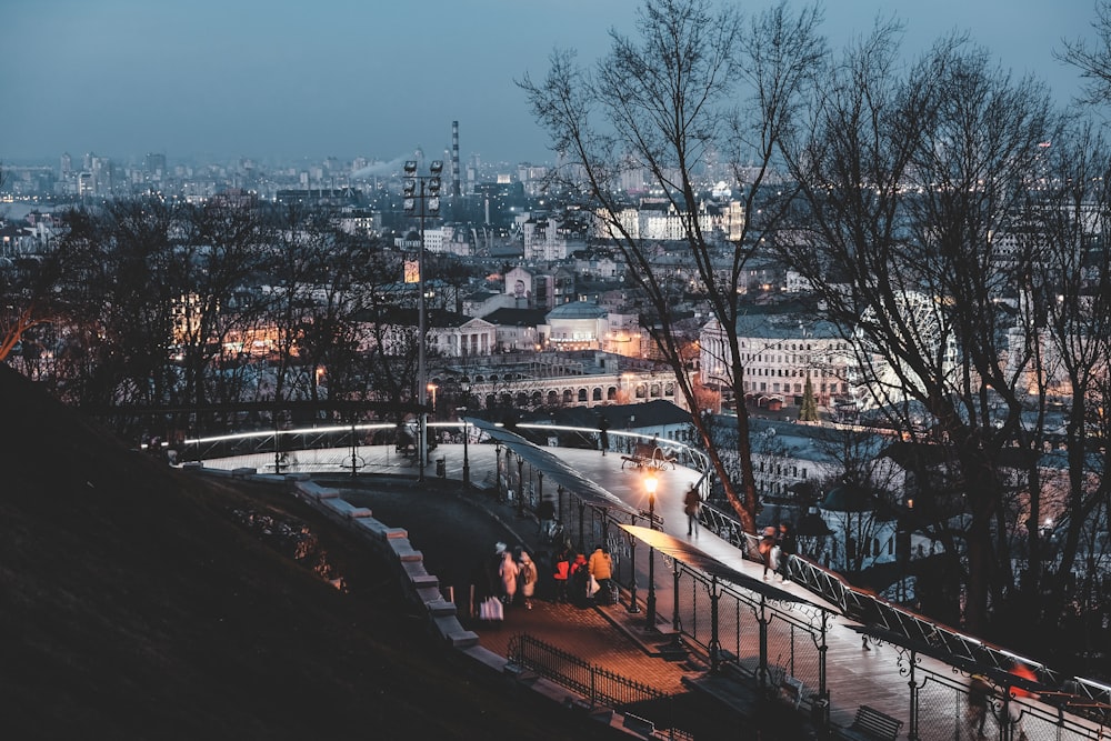 people walking on sidewalk near bare trees during night time