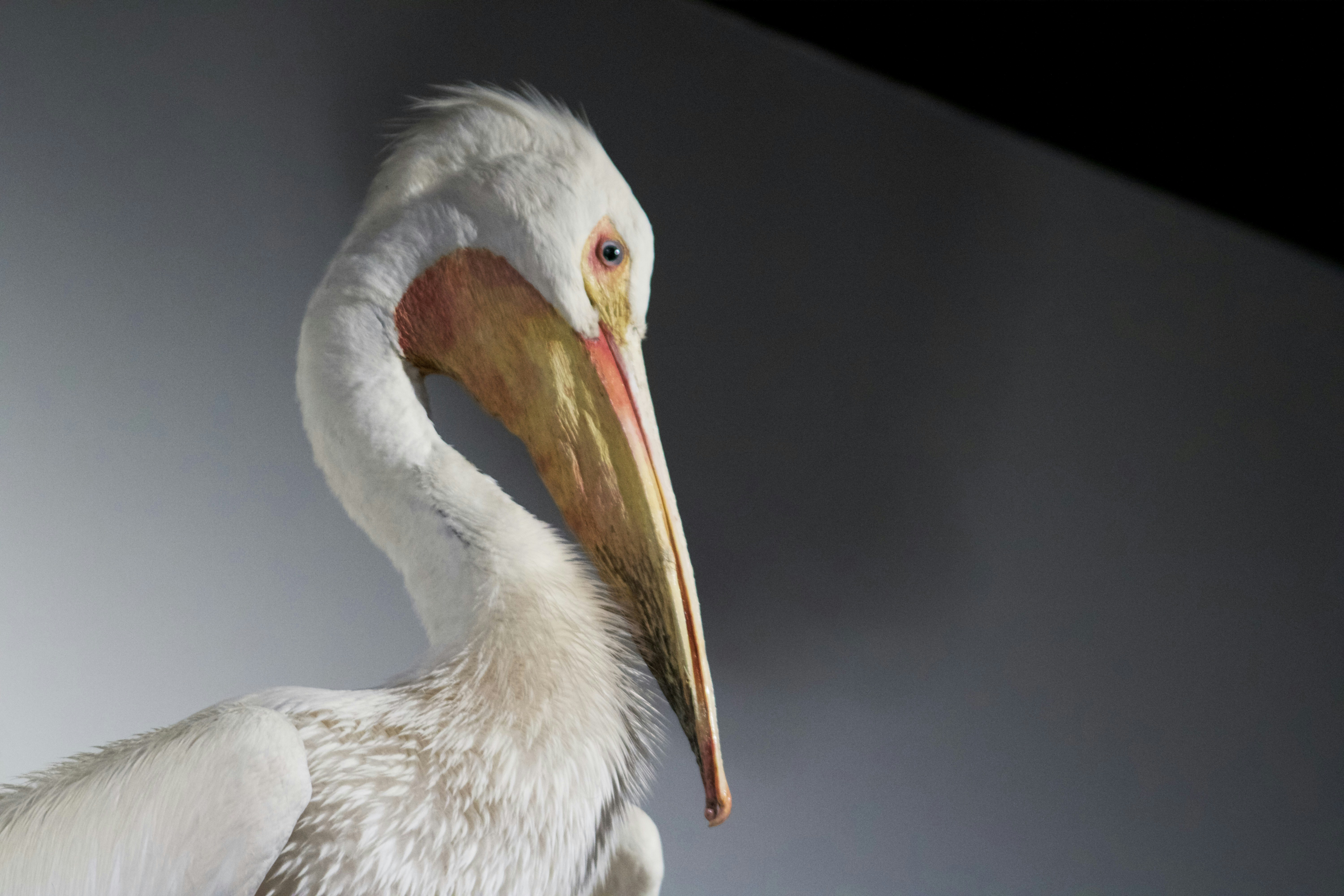 Photo by picsbyjameslee