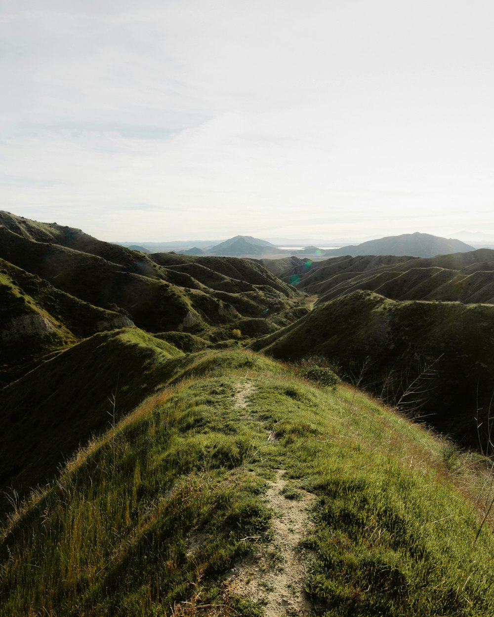 une colline herbeuse avec un sentier qui la traverse