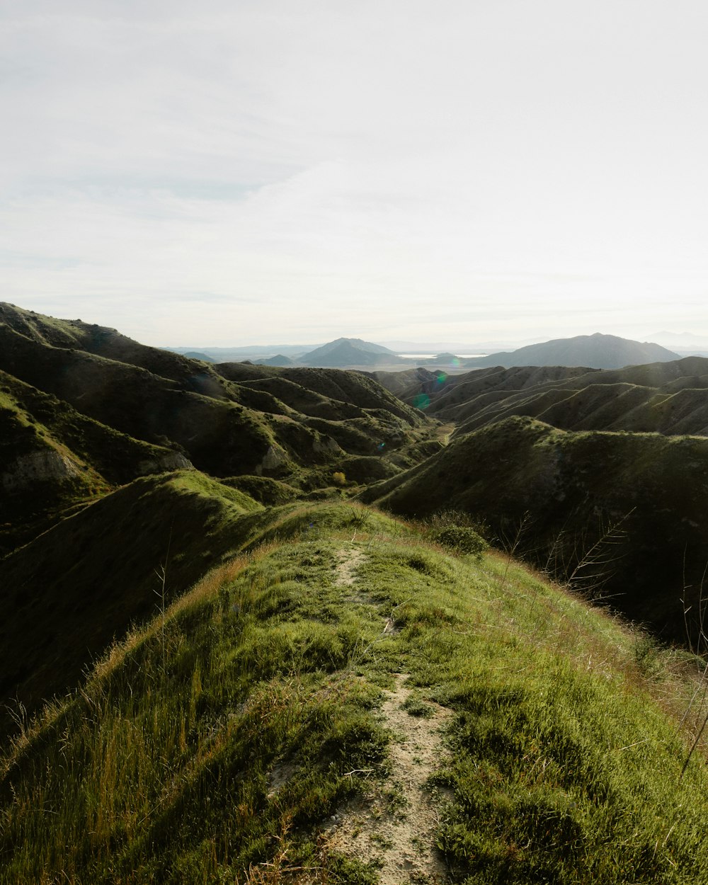 una colina cubierta de hierba con un sendero que la atraviesa
