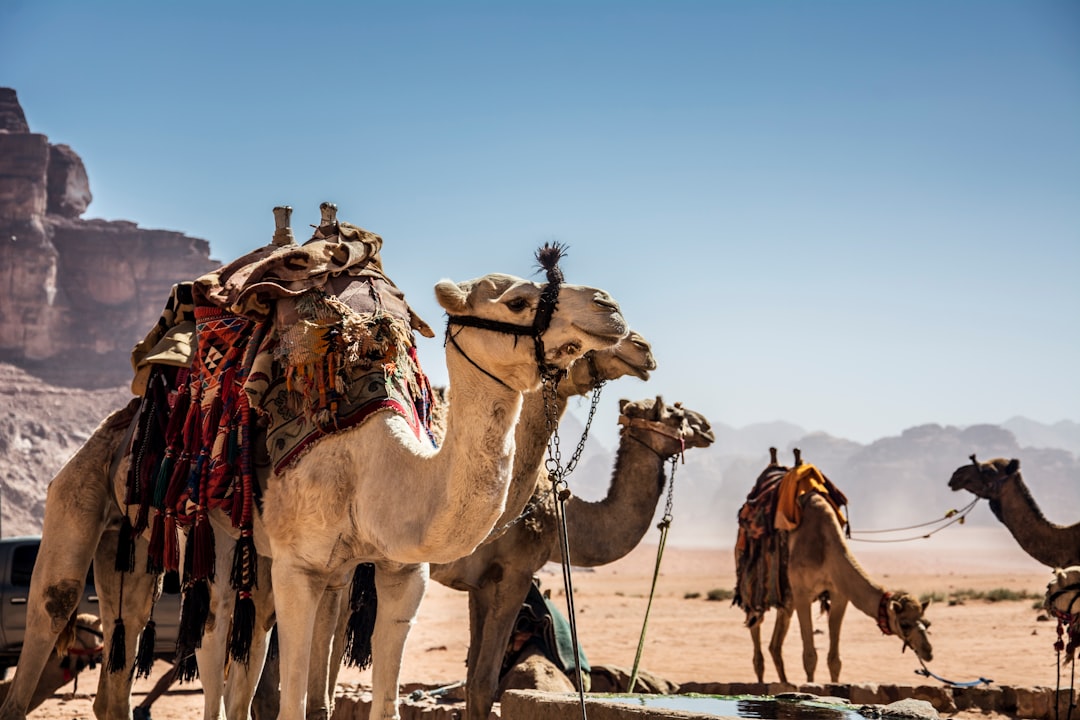 Ecoregion photo spot Wadi Rum Aqaba