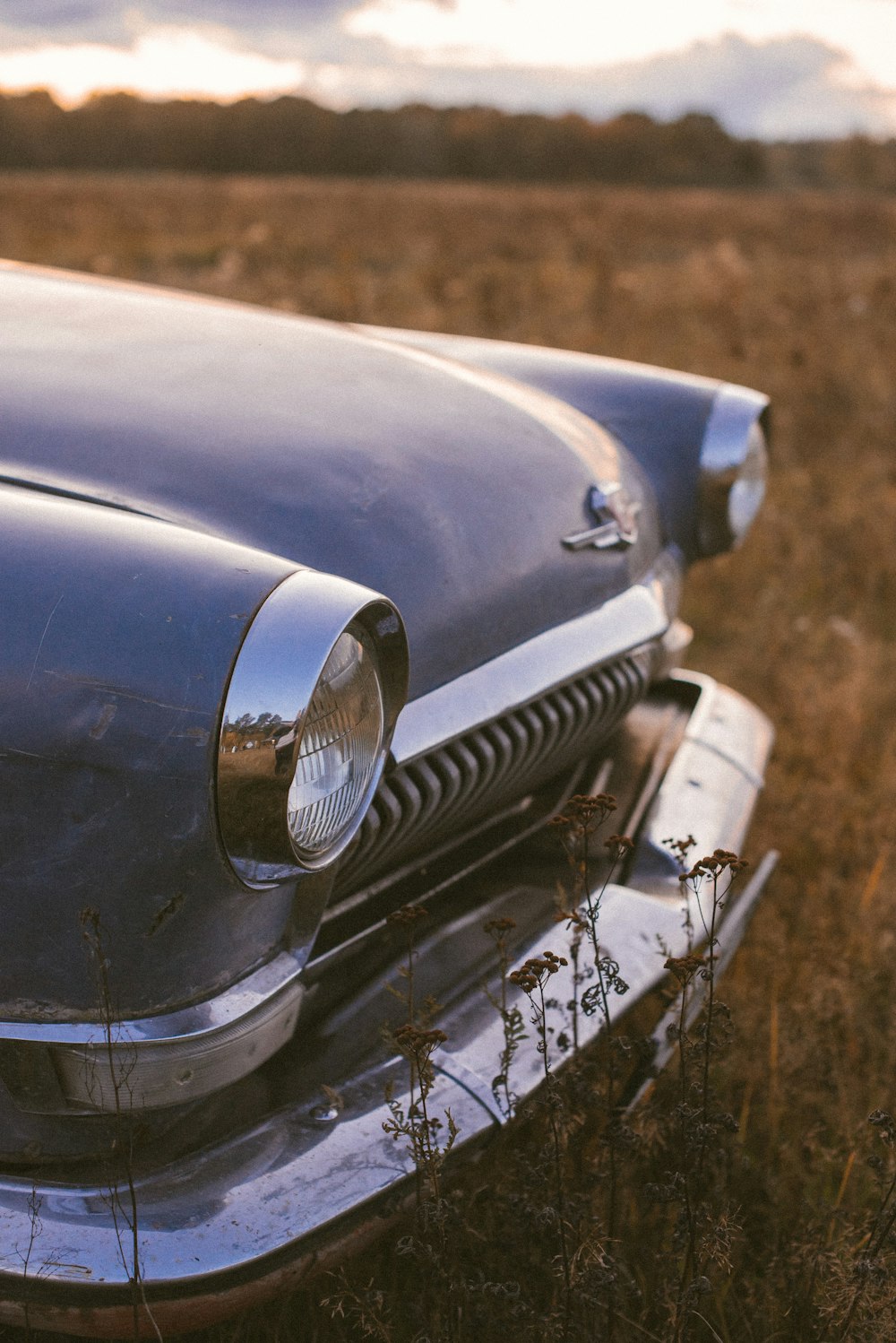 um close up de um carro velho em um campo