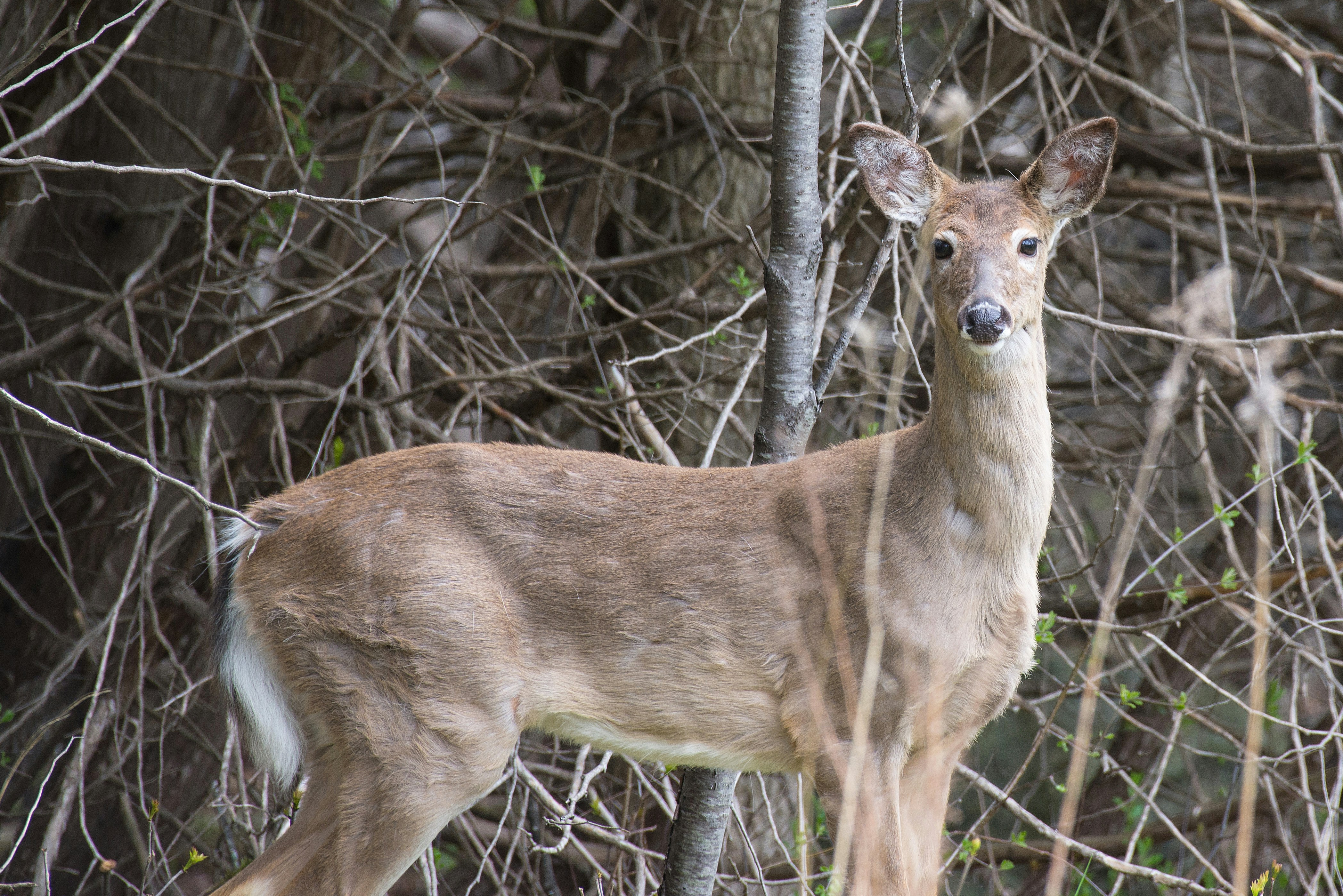 Photo by tammyraybould