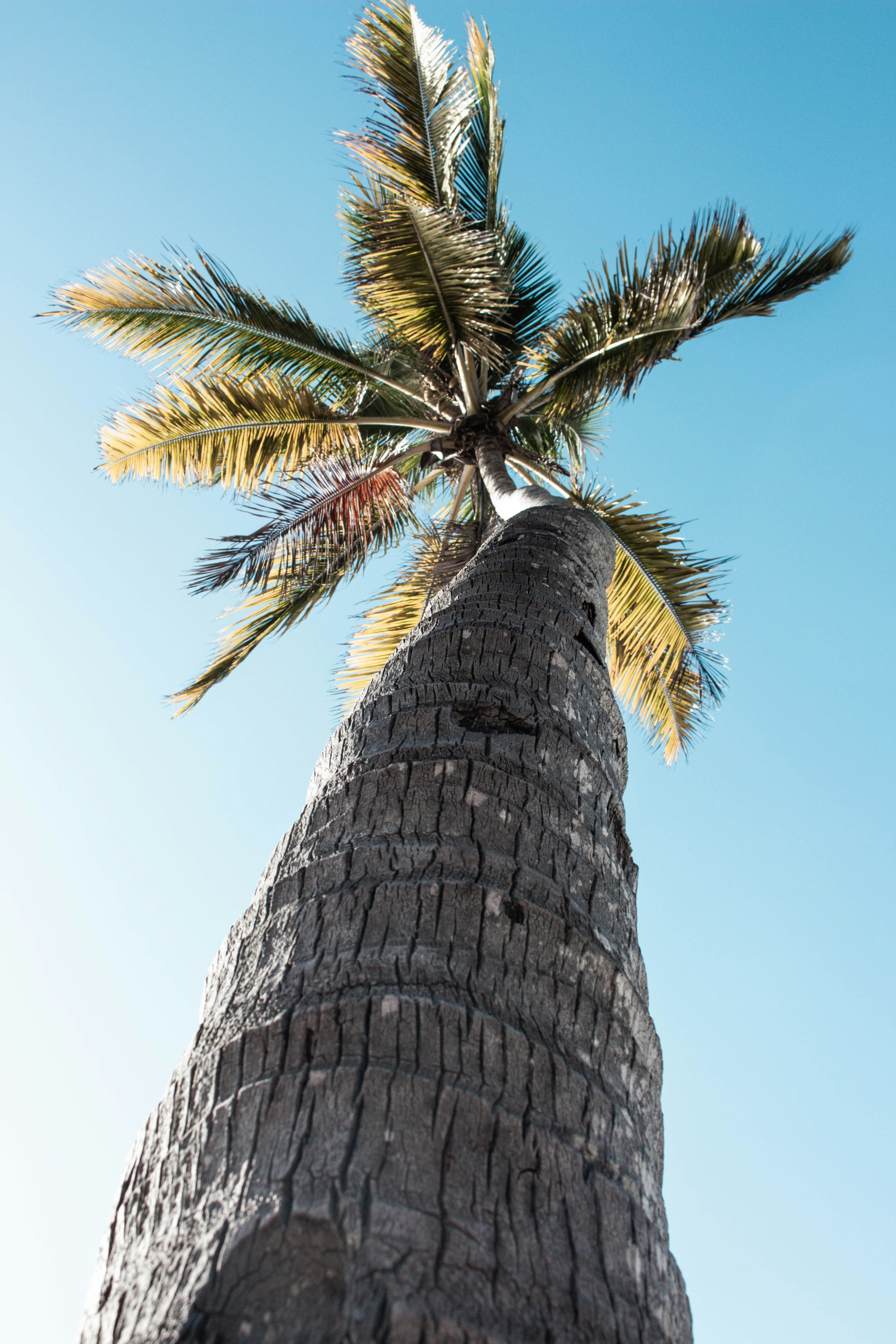 Photo by nicosinanian