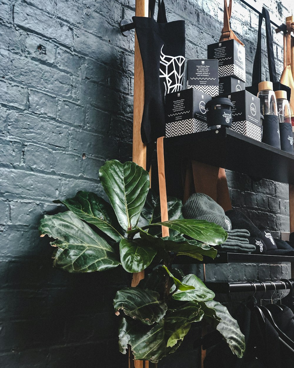 a plant in a pot next to a brick wall