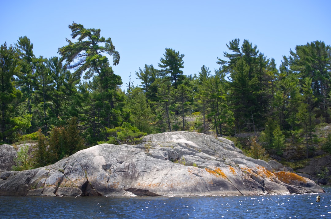 Nature reserve photo spot North Channel Flowerpot Island