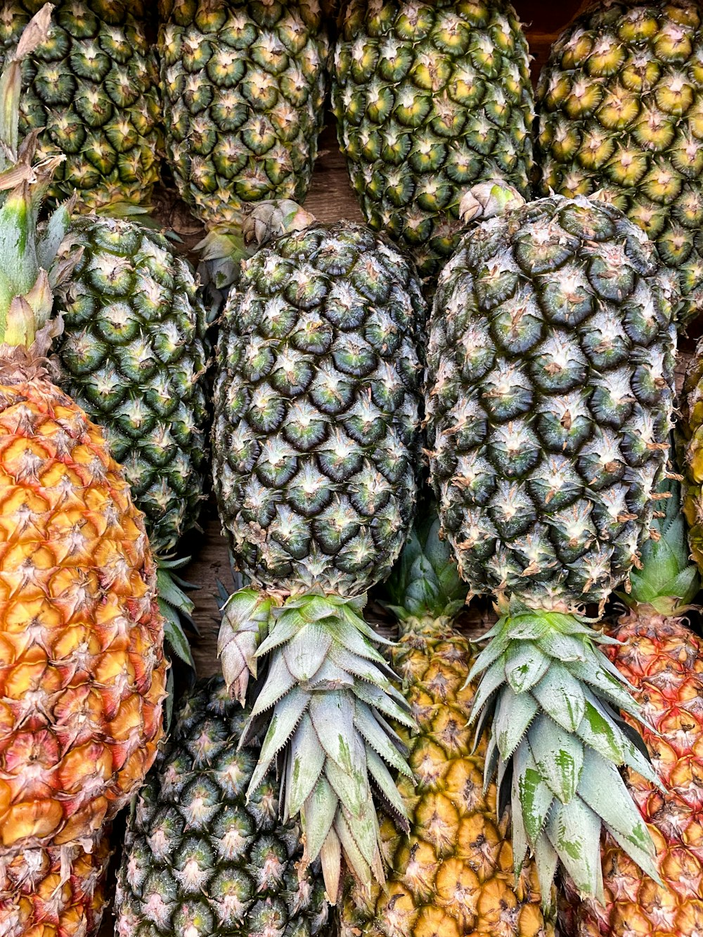 green and yellow pineapple fruits