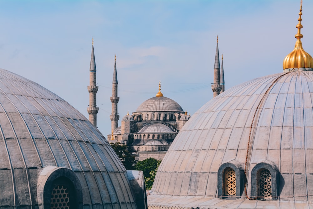 Un grupo de cúpulas con un fondo de cielo. Viaje a Estambul.