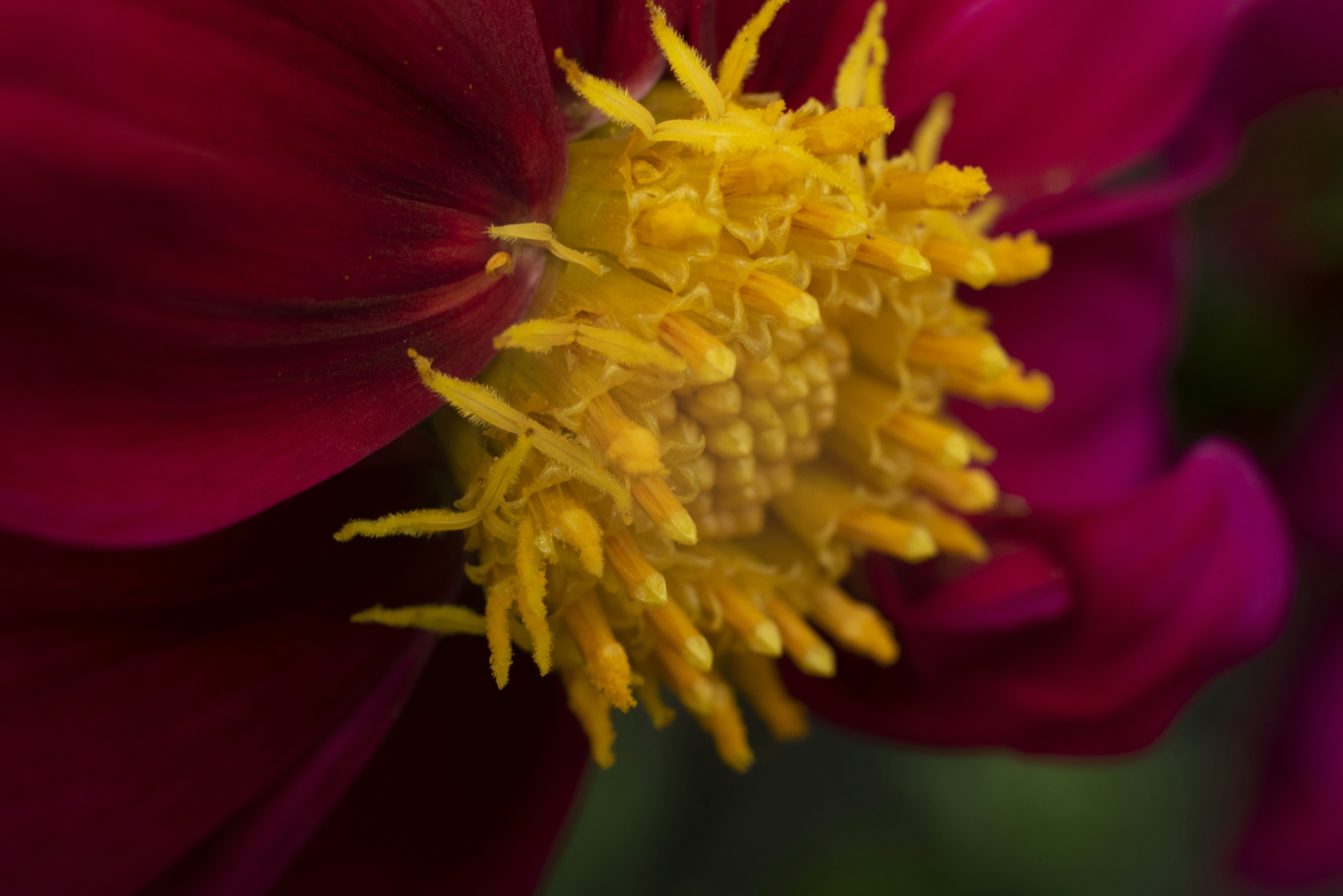 Photo by astralniy_keks