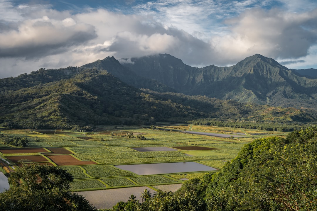 green grass field near lake and mountain under white clouds during daytime