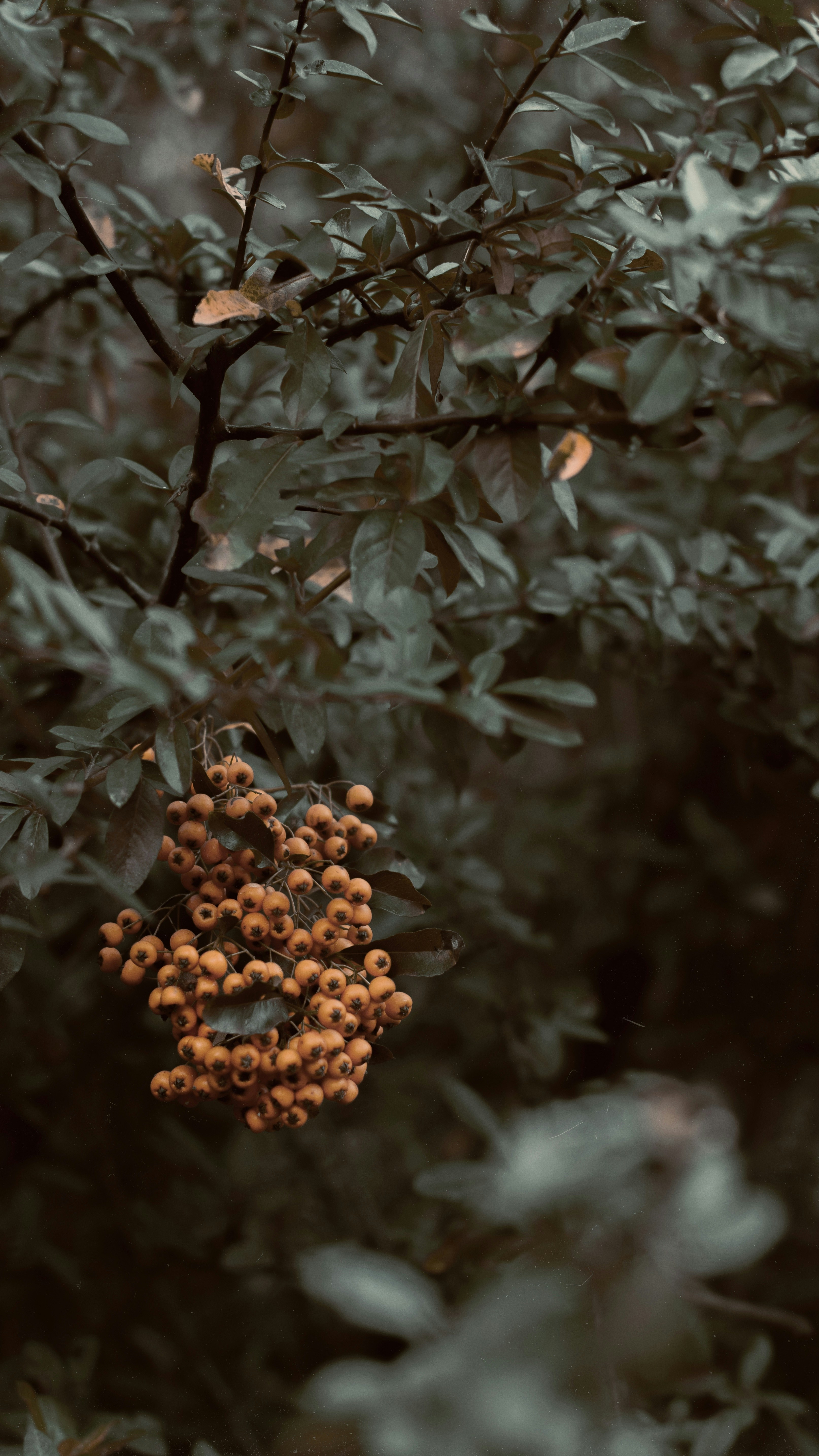 Photo by danielabeleva