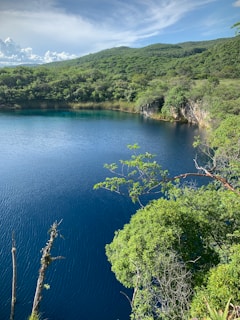 green trees beside blue lake during daytime