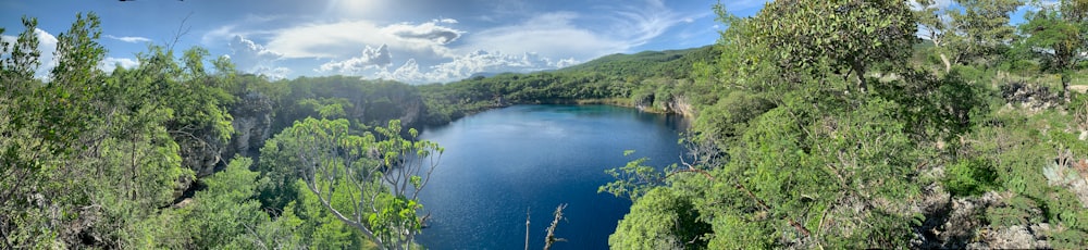 árboles verdes cerca del cuerpo de agua bajo el cielo azul durante el día