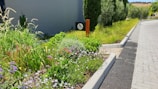 A well-maintained garden with a variety of colorful flowers and lush green plants lines a paved path. A sign with an accessibility symbol is visible. The environment exudes a sense of tidiness and natural beauty.
