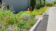 A peaceful garden path with accessible features, inviting clients to enjoy nature safely.