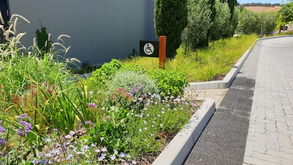A well-maintained garden with a variety of colorful flowers and lush green plants lines a paved path. A sign with an accessibility symbol is visible. The environment exudes a sense of tidiness and natural beauty.