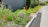 A well-maintained garden with a variety of colorful flowers and lush green plants lines a paved path. A sign with an accessibility symbol is visible. The environment exudes a sense of tidiness and natural beauty.