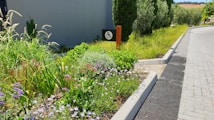 A well-maintained garden with a variety of colorful flowers and lush green plants lines a paved path. A sign with an accessibility symbol is visible. The environment exudes a sense of tidiness and natural beauty.