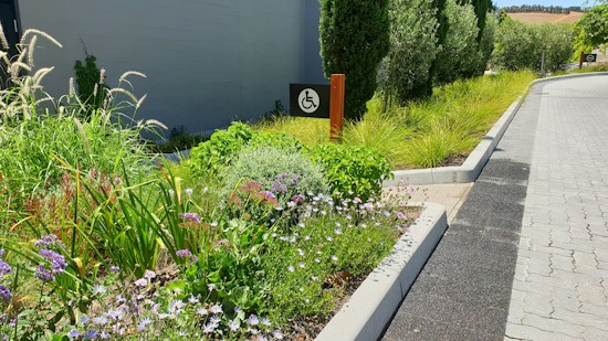 A well-maintained garden with a variety of colorful flowers and lush green plants lines a paved path. A sign with an accessibility symbol is visible. The environment exudes a sense of tidiness and natural beauty.
