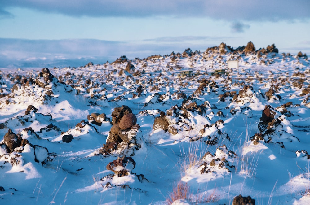 brown and white rocks on snow covered ground