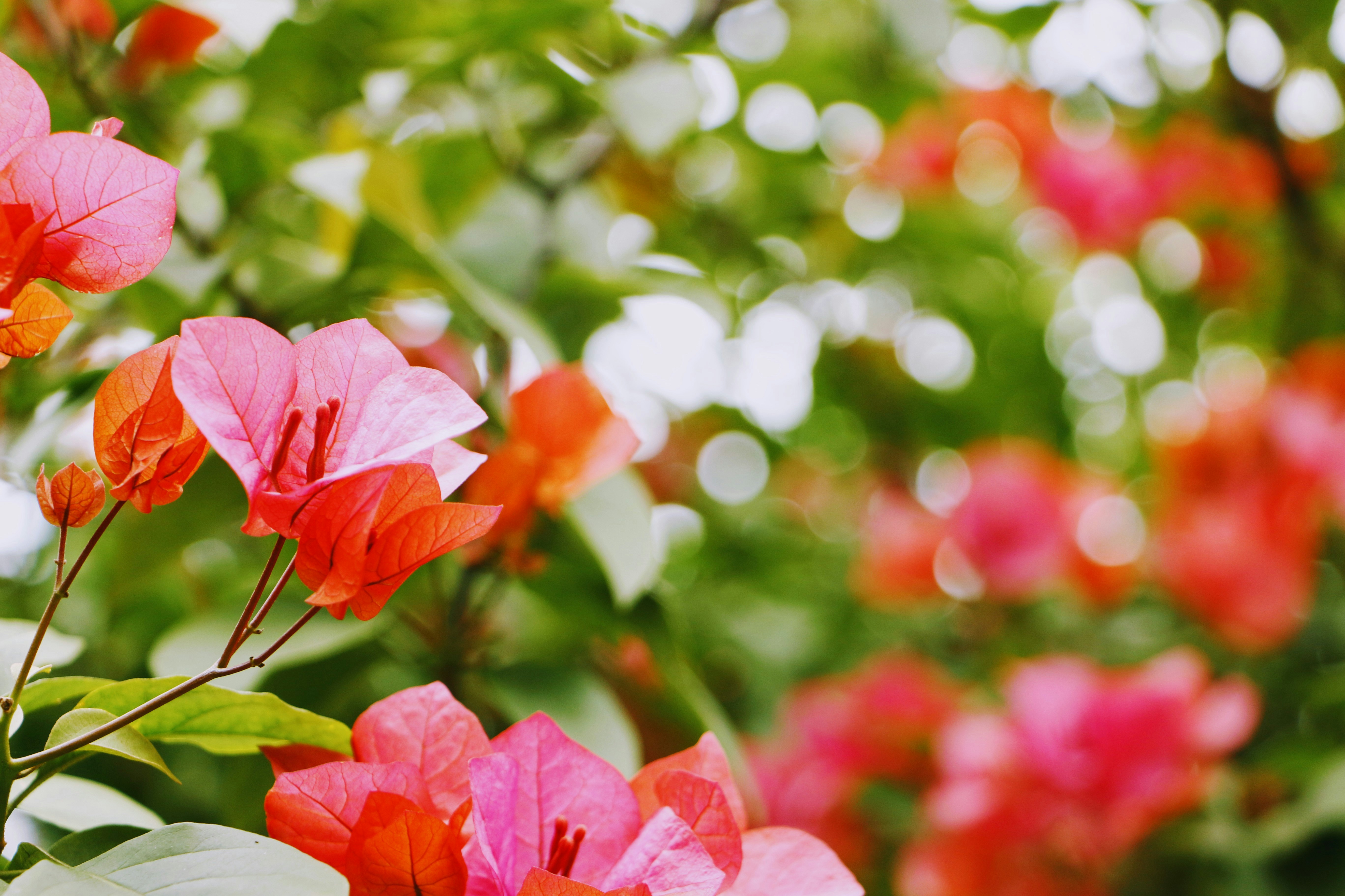 Photo by benjamin_1017