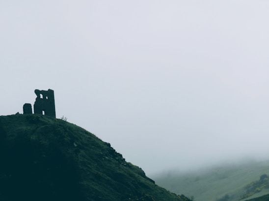 A misty forest with ancient castle ruins in the background