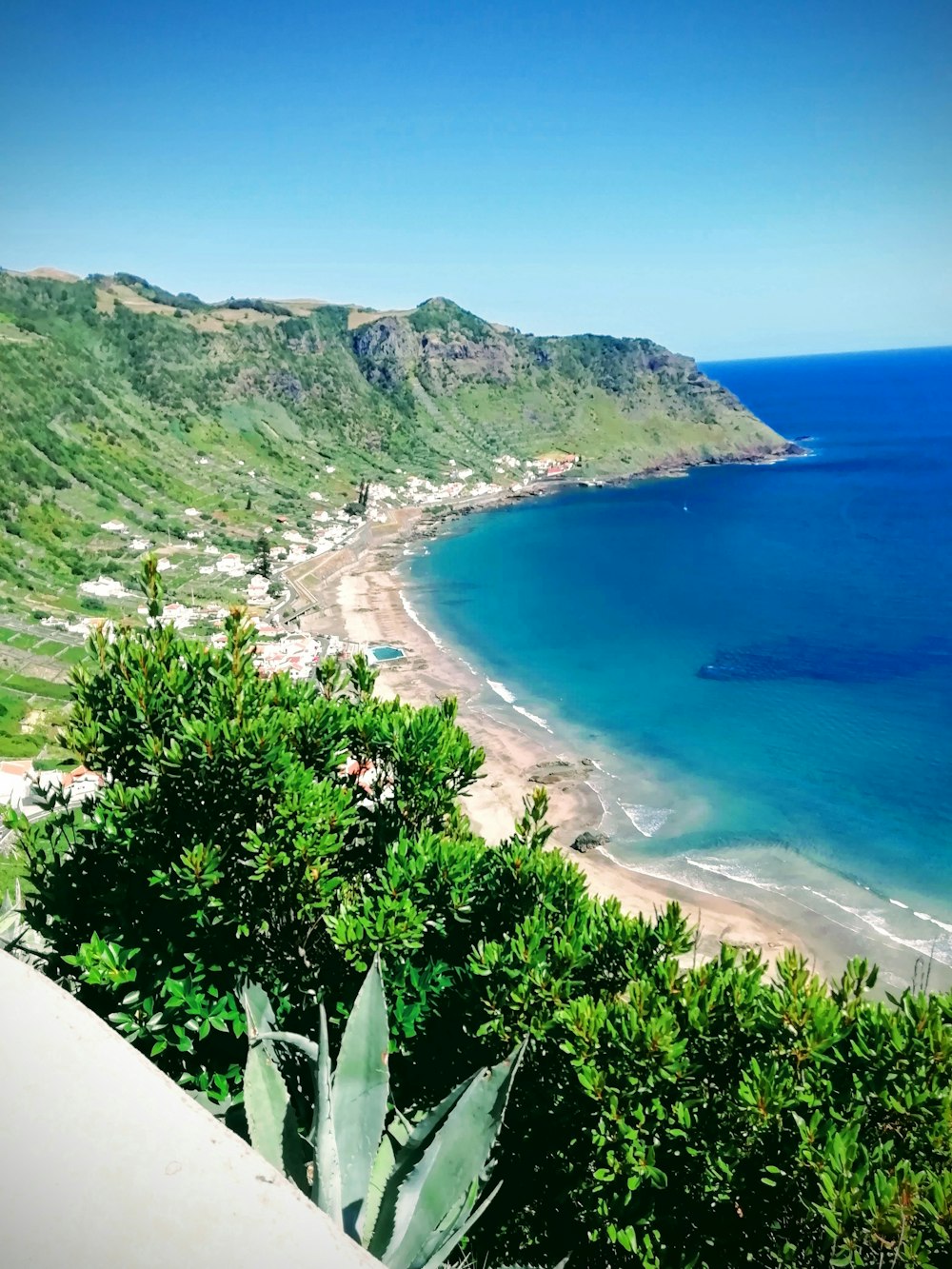 green trees on white sand beach during daytime