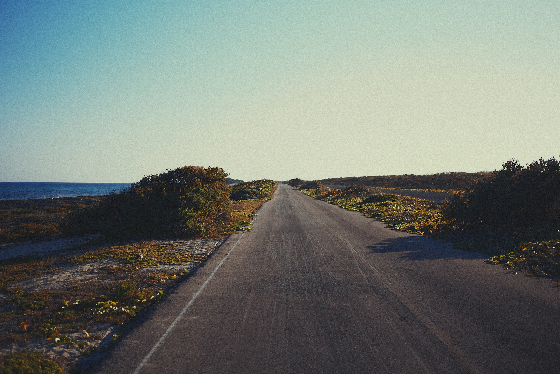gray asphalt road between green trees under blue sky during daytime